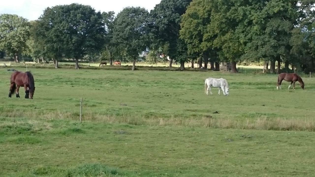 Gaestehaus Am Brockeswald Cuxhaven Eksteriør billede
